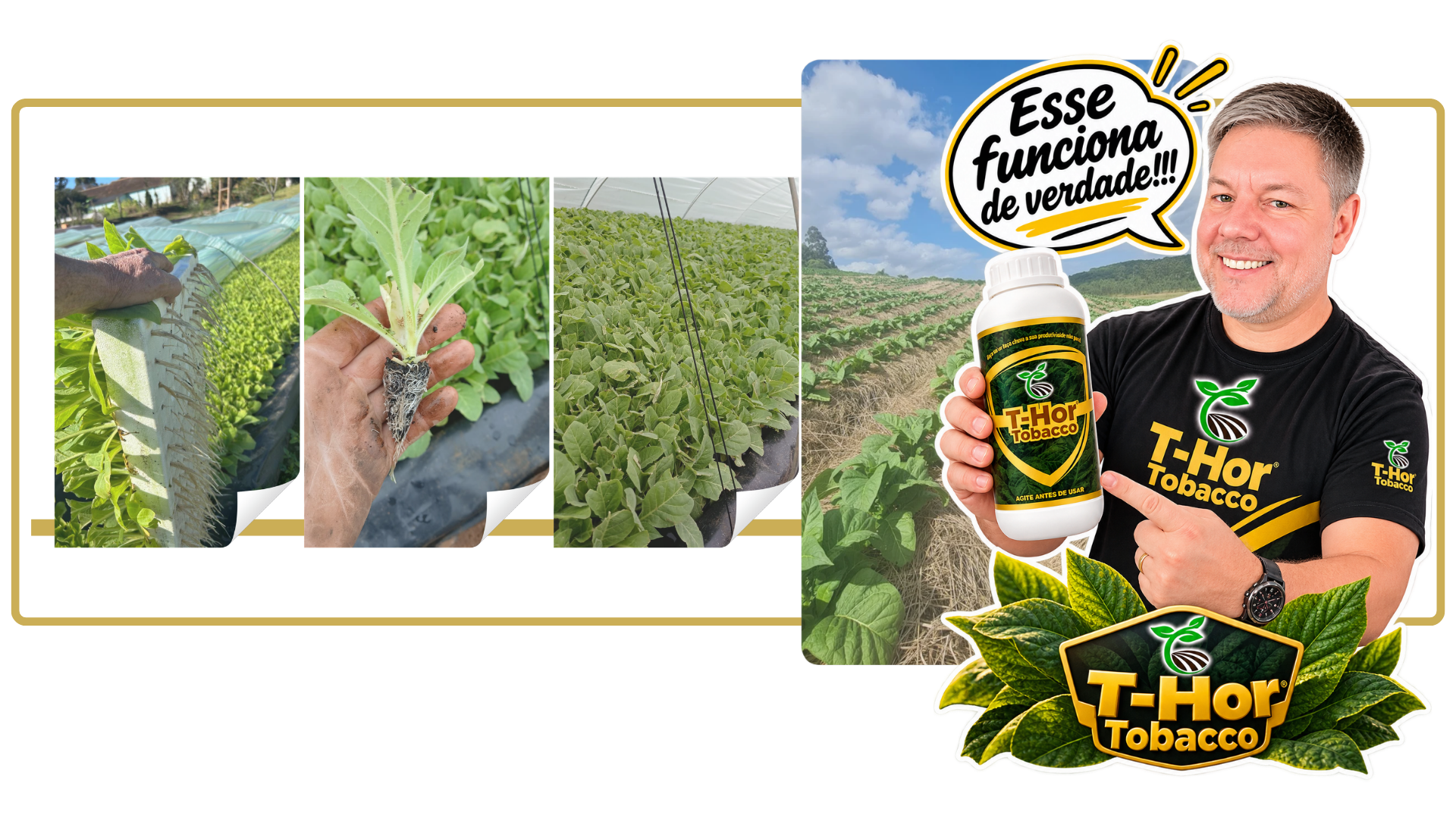 TOBACCO-SITE.png