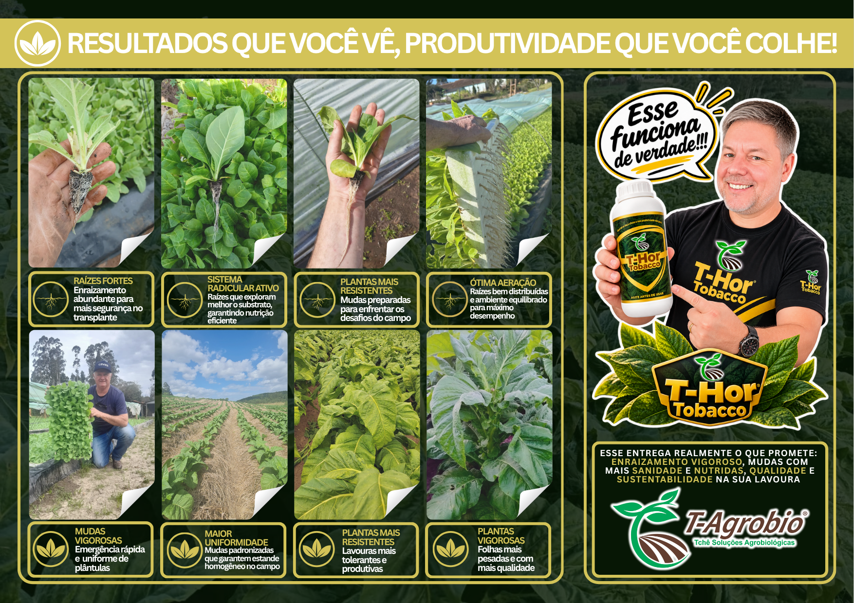 FOLDER-T-CNICO-T-AGROBIO-1-.png