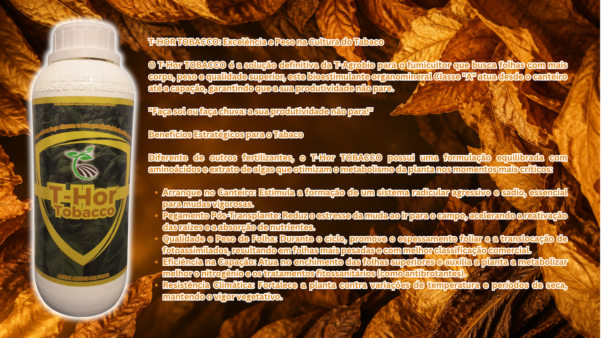 T-HOR-SITE.png